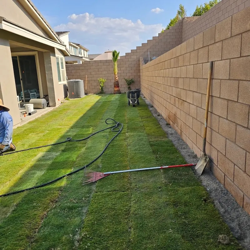 A picture of a side yard with fresh grass that has just been planted, up against a wall beneath an embankment.