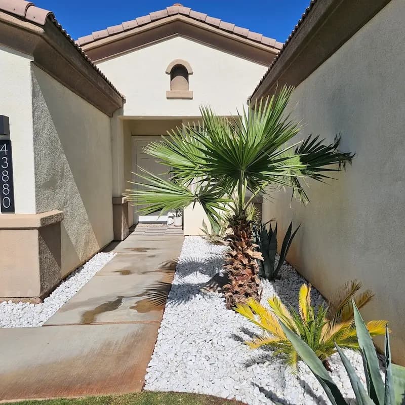 A picture of an outdoor entryway to a home that features a lovely path and very tasteful rocks. Amongst the rocks are an array of desert plants including a gorgeous palm tree.